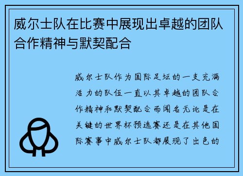 威尔士队在比赛中展现出卓越的团队合作精神与默契配合